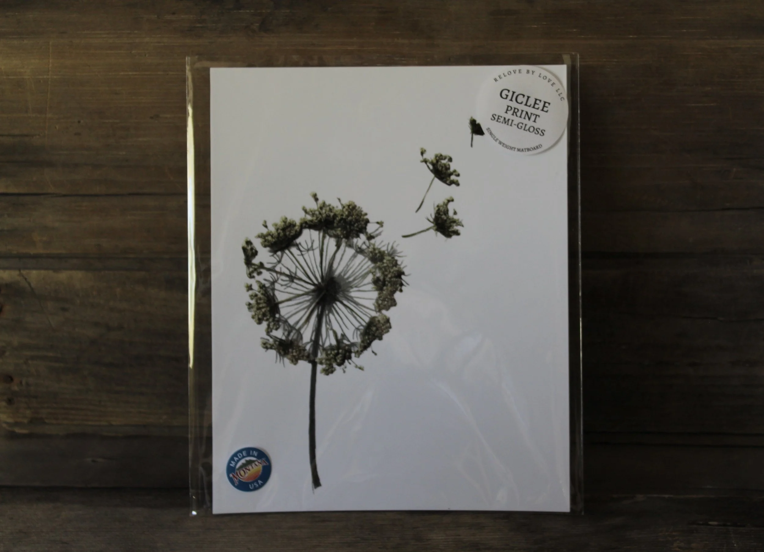 Prints — Shop Floral Collection — ReLoveByLove